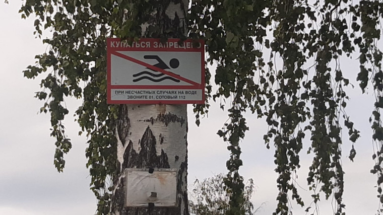 Введите заголовок новости. Введите заголовок новости.